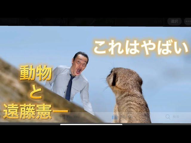 【遠藤憲一モノマネ】動物とちっちゃい遠藤憲一の合成が凄い。