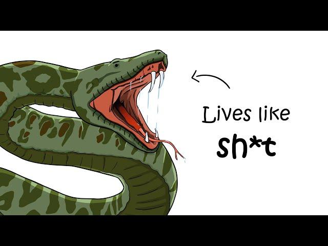 Why It Sucks to Be Born as a Giant Anaconda