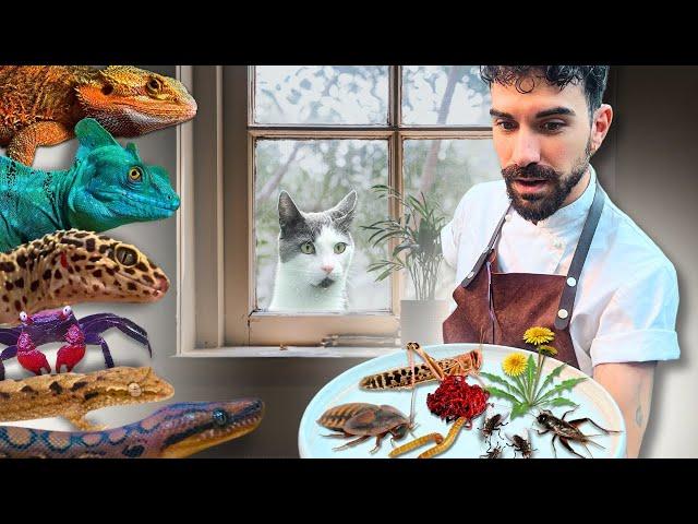 FEEDING ALL MY ANIMALS | TERRAQUAMAN