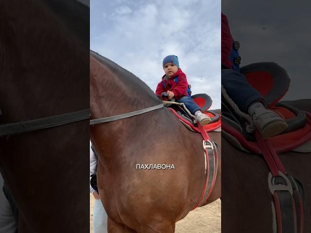МАЛЕНЬКИЙ ПАХЛАВОН#buzkashi #таджикистан #бузкаши #лошади #horse #дети #children
