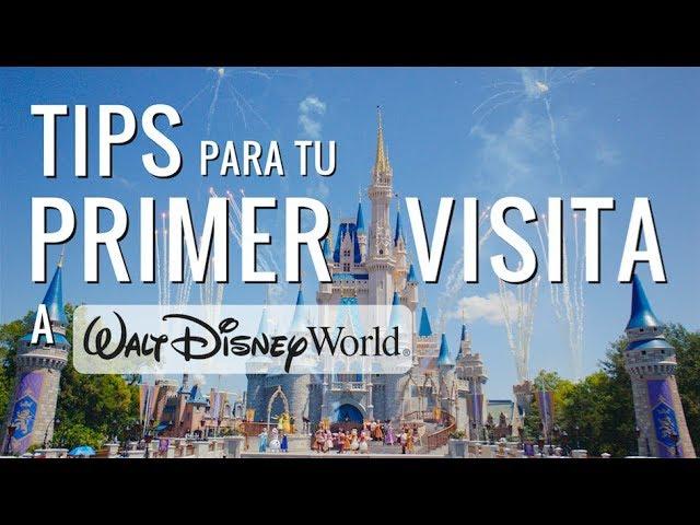 Tips para tu Primer Visita a Disney World! / 10 Tips! / Dani Godinez