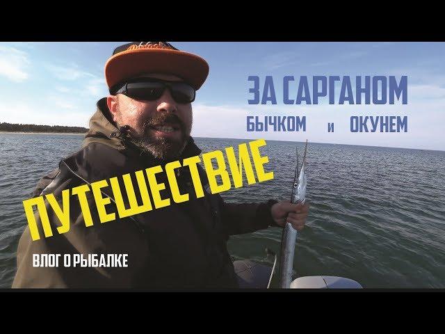 Рыбалка на САРГАНА! Ловим в море #ADVENTURESBROTHERS