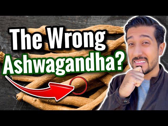 Which Ashwagandha is BEST for You? | KSM-66 vs Sensoril vs Shoden Ashwagandha