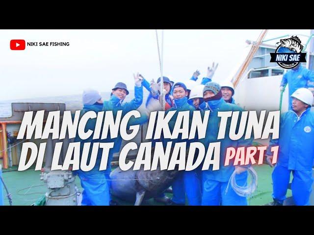 MANCING IKAN TUNA DI LAUT CANADA - NIKI sae FISHING