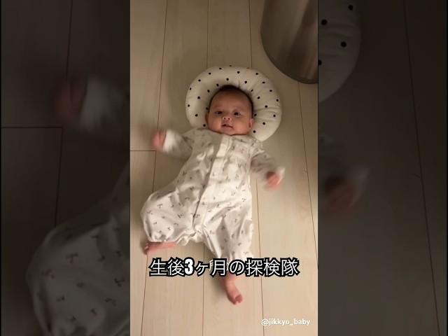 【可愛すぎる】生後3ヶ月の赤ちゃん探検隊 #baby #babyshorts #赤ちゃん #子育て #funny #travel @_____su.1__さんよりご提供いただきました