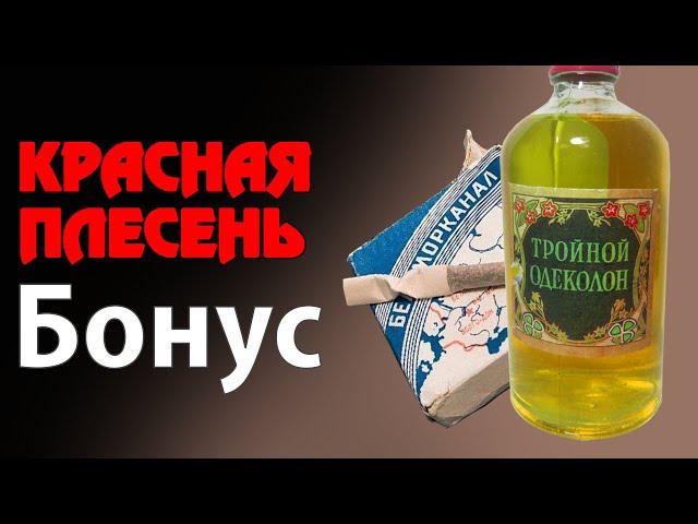 Красная Плесень - Бонус | Лучшие песни