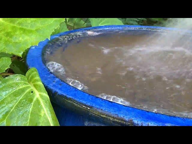 Build a Simple Water Feature