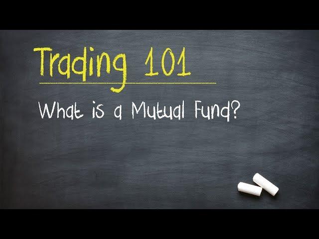 Trading 101: What is a Mutual Fund?