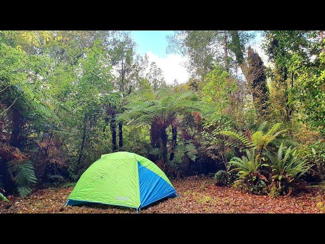 Tent camping in the NZ bush - Hiking and exploring