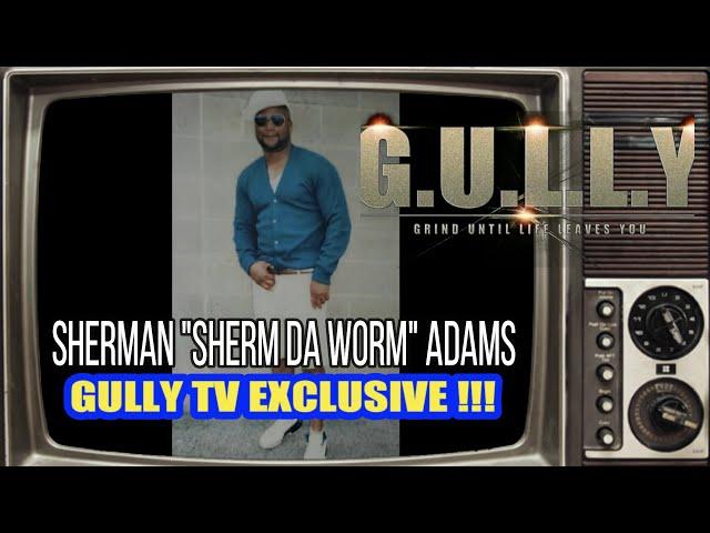 SHERM DA WORM TALKS PRODIGY BEEF, THE CHAIN ROBBERY, WHY PRODIGY'S MURAL WAS DESTROYED (PART 1)