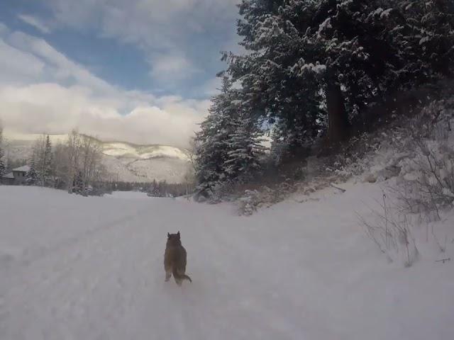 Rodando en la nieve