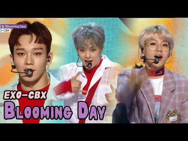 [HOT] EXO-CBX - Blooming Day, 엑소-첸백시 - 花요일 Show Music core 20180421