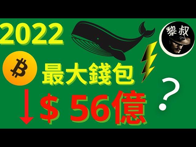 比特幣結束2022年交易，最富有的比特幣錢包損失多少钱？ 如何查看最富有的100個比特幣錢包地址，緊跟大鱷步伐？