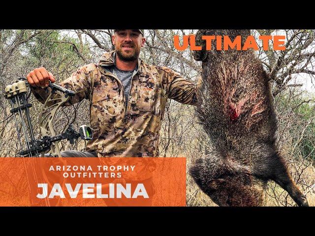 ULTIMATE JAVELINA HUNTING | 2020 | ARIZONA OPPORTUNITY HUNT | ATO #9