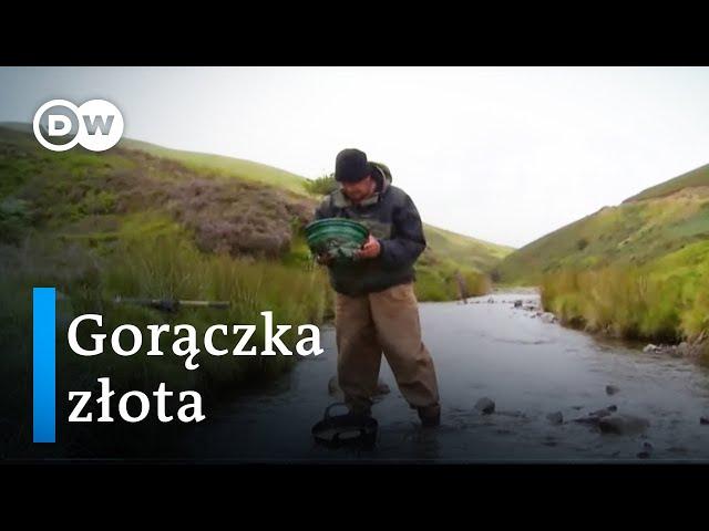 Gorączka złota w Szkocji. Nieoczekiwany skutek pandemii