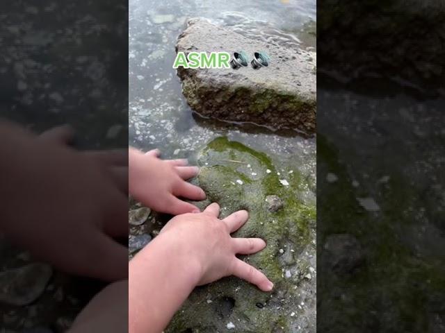 Slime Nature ASMR 