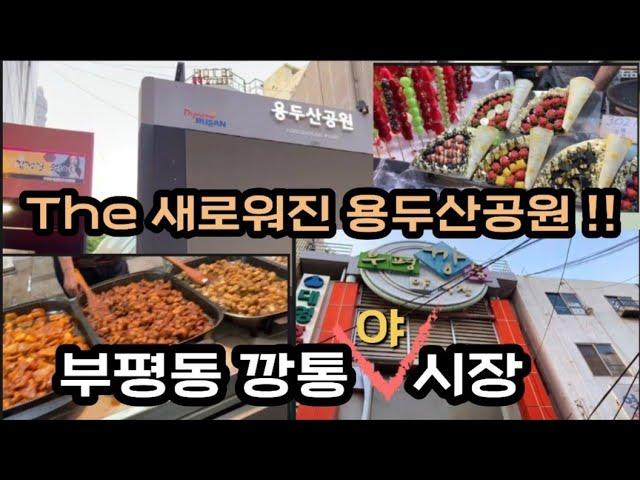 [Vlog] 더 새로워진 용두산공원 / 세계의 다양한 먹거리천국 부평동깡통야시장