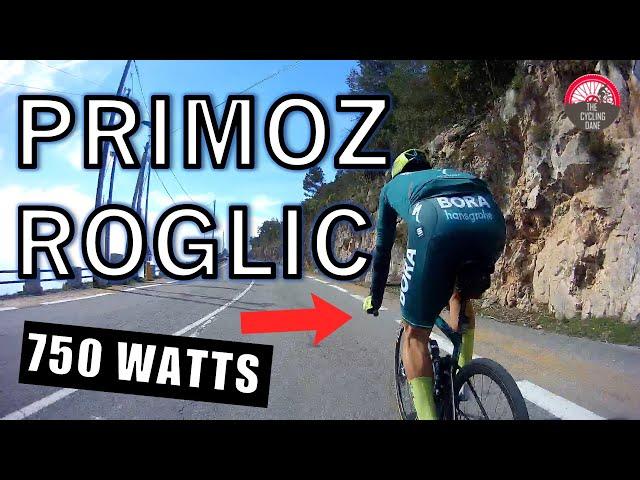 Primož Roglič VS AMATEUR CYCLIST - CLIMBING SESSION (WITH POWER DATA)