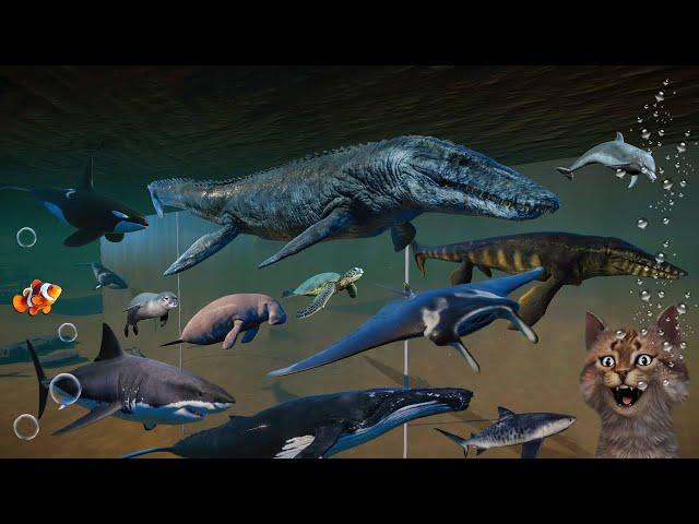 Prehistoric VS Modern Sea Animals Race in Planet Zoo included Mosasaurus, Shark, Sea Lion, Orca