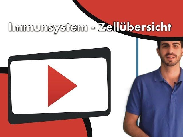 Immunsystem - Zellübersicht clipdocs.de