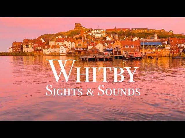 The sights and sounds of Whitby