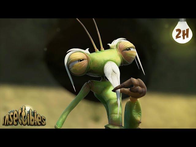 Enter the Mantis |  Antiks & Insectibles  | Funny Cartoons for Kids | Moonbug