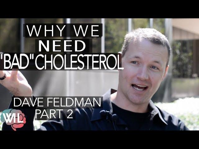 Why we Need "Bad" LDL Cholesterol | Dave Feldman Pt 2