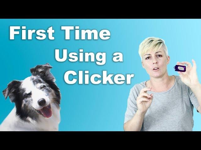 How to start CLICKER TRAINING