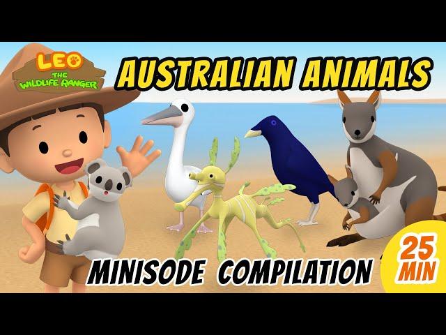 Australian Animals Minisode Compilation - Leo the Wildlife Ranger | Animation | For Kids