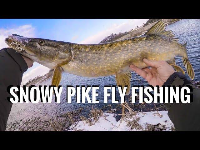 Epic Snowy Pike Fly Fishing