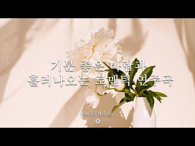 기분 좋은 바람과 흘러나오는 로맨틱 연주곡 | Estella Melody