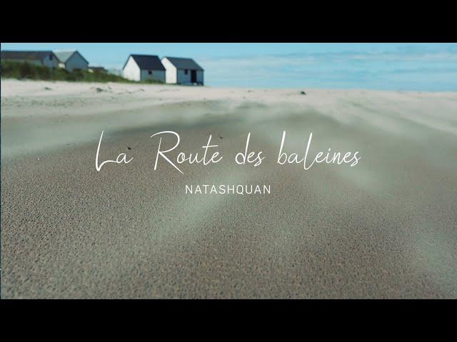 Route des baleines - Natashquan