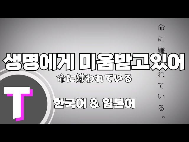 [한국어노래방] 생명에게 미움받고 있어 (命に嫌われている。) (한국어, Korean)