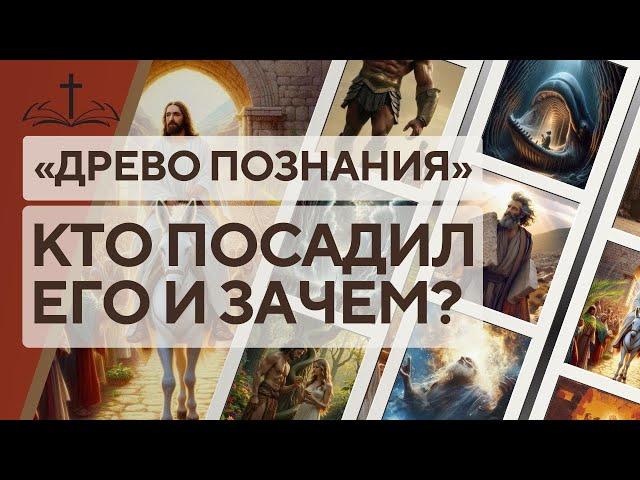 2. ЗЛОСЧАСТНОЕ «ДРЕВО ПОЗНАНИЯ». КТО ПОСАДИЛ ЕГО И ЗАЧЕМ?
