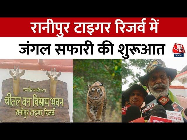 सैलानियों के लिए खुला Chitrakoot का Ranipur Tiger Reserve, बना नया आकर्षण का केंद्र | Wild Life