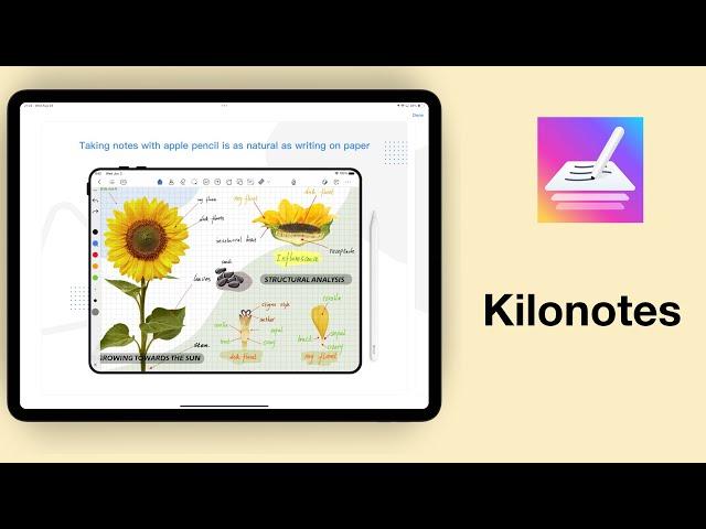 Kilonotes for iPad (2024): DETAILED Review | Digital Note-Taking