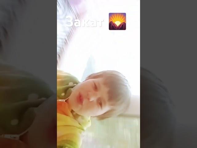 25 августа 2024 г.