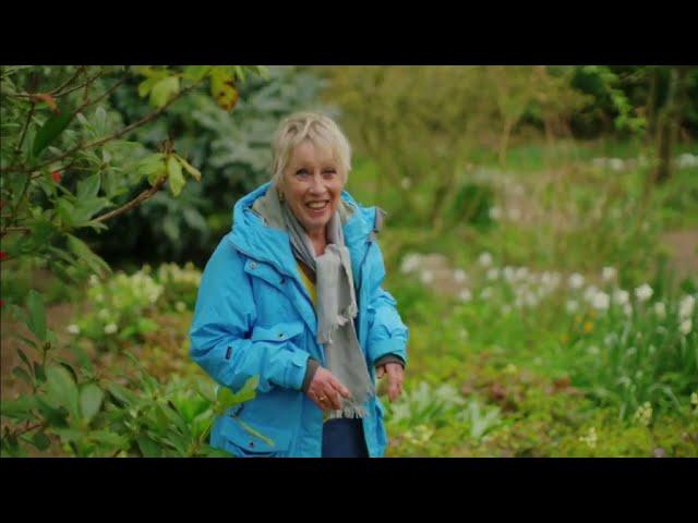 Spring Gardening with Carol KleinEpisode 3