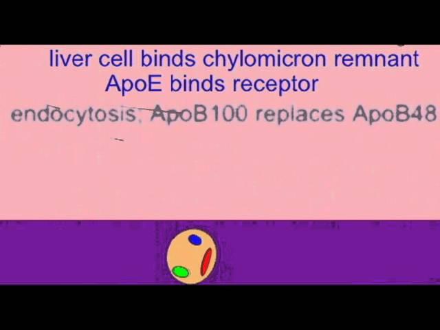 HEART DISEASE: FORWARD CHOLESTEROL TRANSPORT