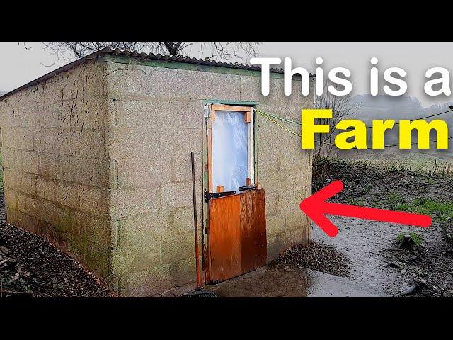 A Tour of My New Tiny Microgreen Farm.