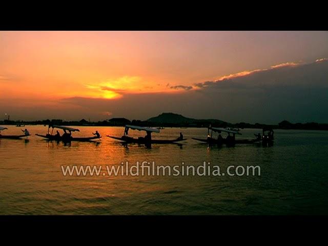 Shikara boat ride during sunset in Kashmir