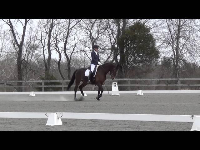 Beall Spring Raquel, First horse show