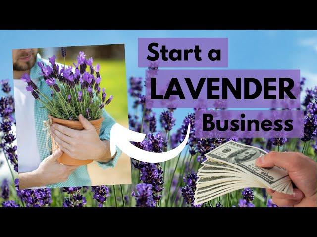 Make money from a Lavender Business