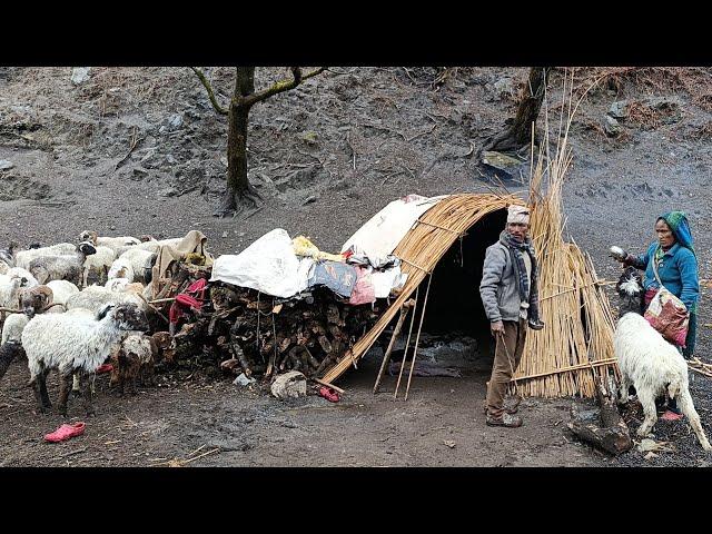 This is Beautiful Himalayan Village Shepherd Life|| Organic Food Cooking || Village Life 1..