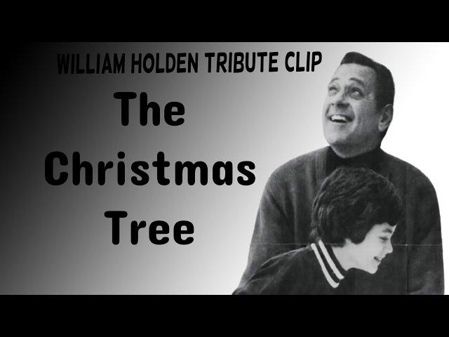 William Holden Tribute : The Christmas Tree-1969