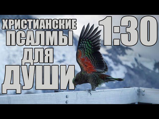 Христианские Песни | Сборник Псалмов