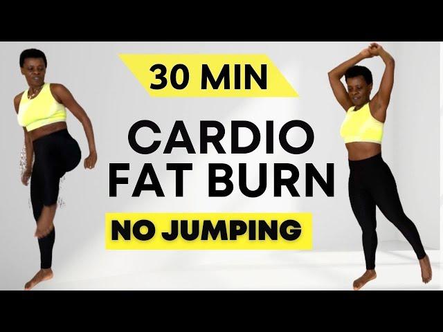 30 Min CALORIE KILLER CARDIO HIIT AEROBICSfor Weight LossAll StandingWith Repeats