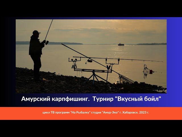 Карпфишинг на Амуре. Турнир "Вкусный бойл"