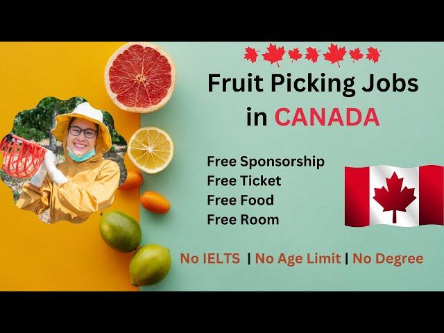 Fruit Picking Jobs in Canada | Work in Canada