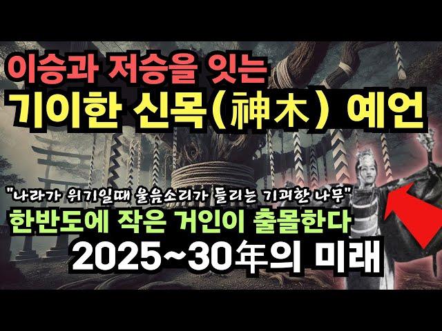 위기때마다 눈물을 흘리는 기괴한 나무, 이즈모의 신목(神木)이 보여주는 2025년부터 2035년의 미래 [예언] [미스터리]